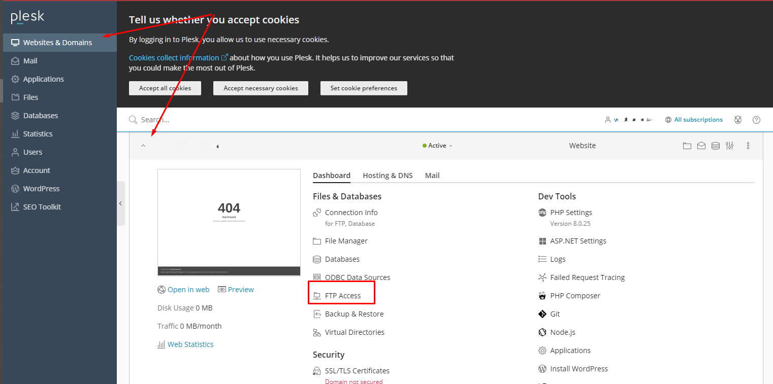 Mục FTP Access trong phần Websites and Domains của Plesk
